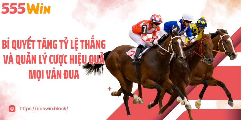 Bí quyết tăng tỷ lệ thắng và quản lý cược hiệu quả mọi ván đua